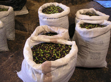 Load image into Gallery viewer, Extra Virgin Olive Oil of Levant