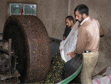 Load image into Gallery viewer, Extra Virgin Olive Oil of Levant