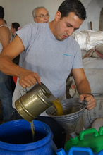 Load image into Gallery viewer, Extra Virgin Olive Oil of Levant