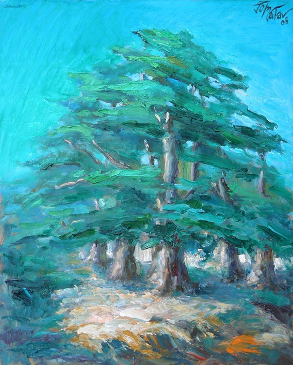 Cèdre du Liban – Cedar of Lebanon
