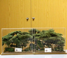 Load image into Gallery viewer, Handmade Bonsai Cedar Tree on Phoenician Ship
