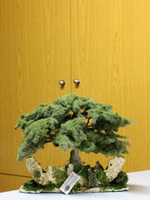 Load image into Gallery viewer, Handmade Bonsai Cedar Tree on Phoenician Ship
